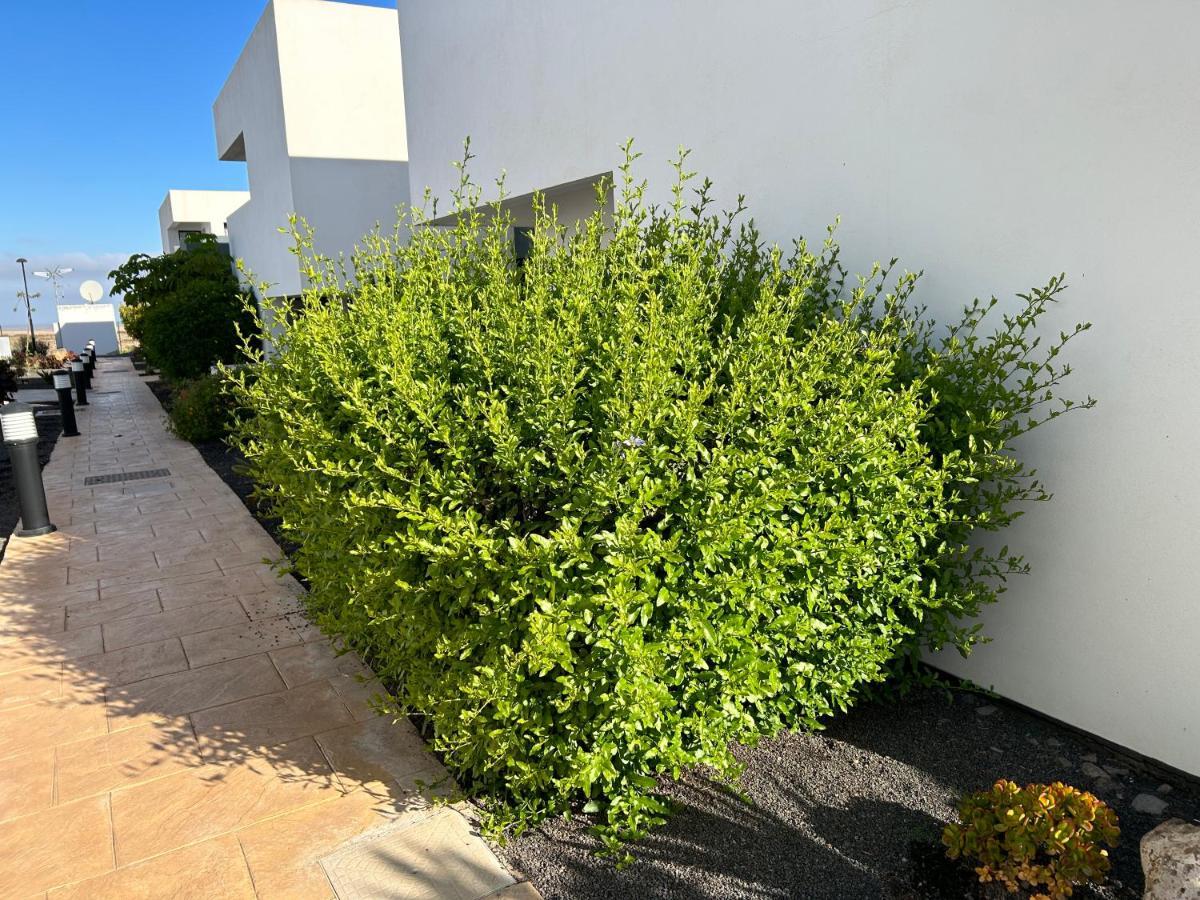 Ferienwohnung Casilla De Costa, La Oliva Villaverde  Exterior foto